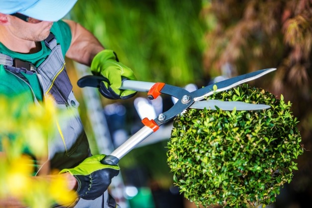 manutenção de áreas verdes